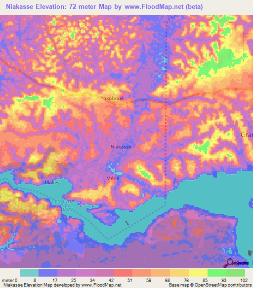 Niakasse,Ivory Coast Elevation Map