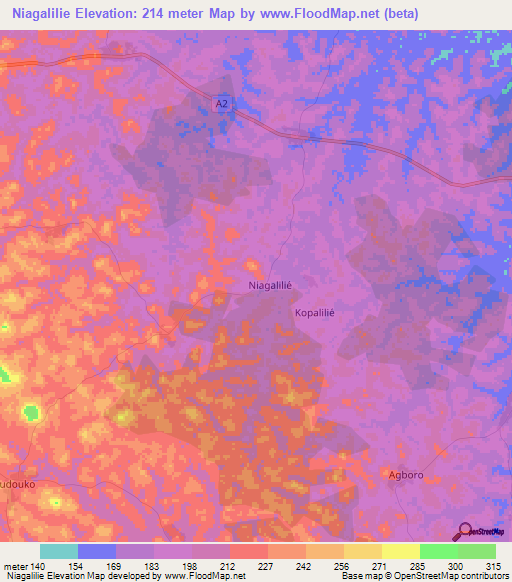 Niagalilie,Ivory Coast Elevation Map