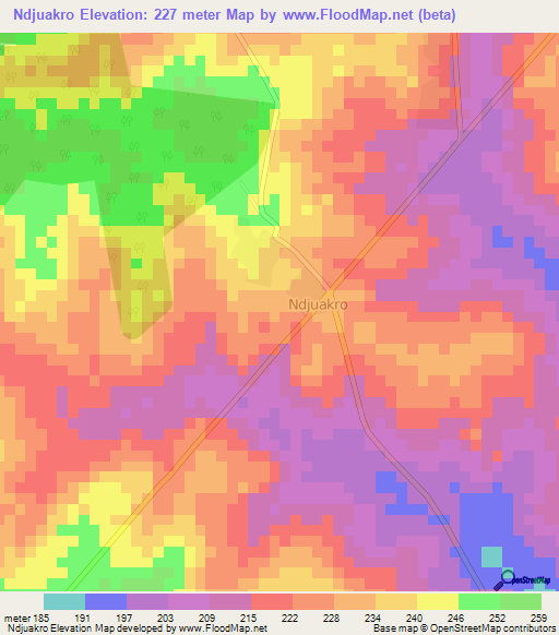 Ndjuakro,Ivory Coast Elevation Map