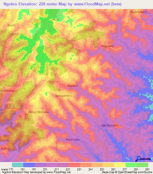Ngokro,Ivory Coast Elevation Map