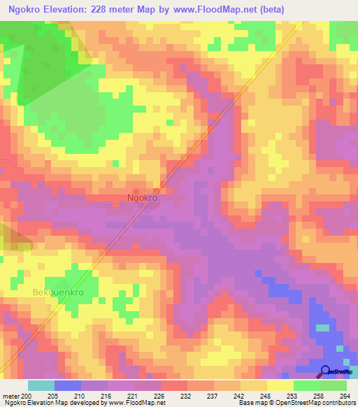 Ngokro,Ivory Coast Elevation Map