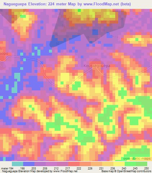 Nagueguepa,Ivory Coast Elevation Map