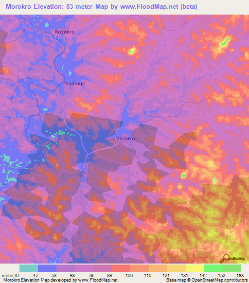 Morokro,Ivory Coast Elevation Map
