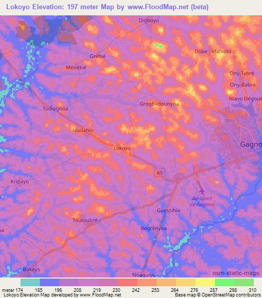 Lokoyo,Ivory Coast Elevation Map