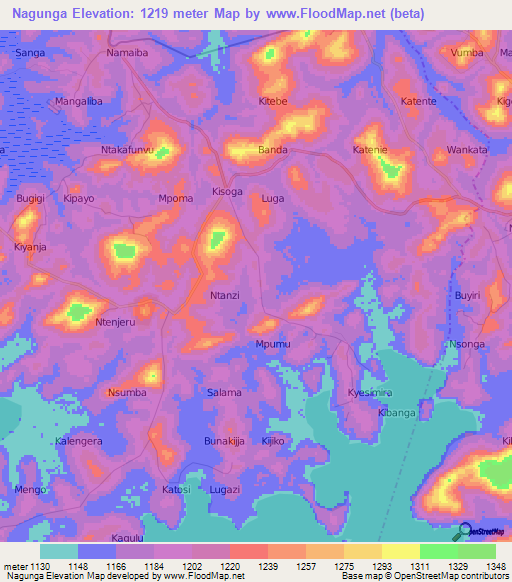 Nagunga,Uganda Elevation Map