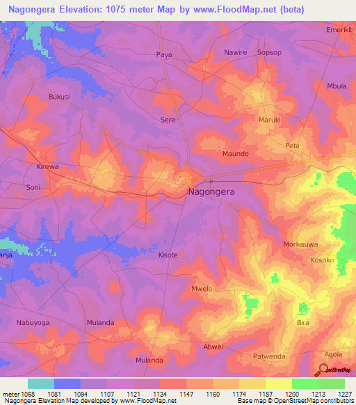 Nagongera,Uganda Elevation Map