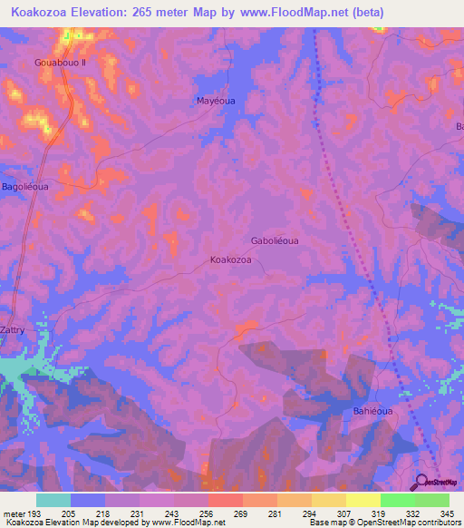 Koakozoa,Ivory Coast Elevation Map
