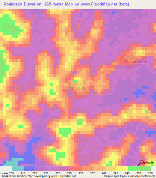 Koakozoa,Ivory Coast Elevation Map