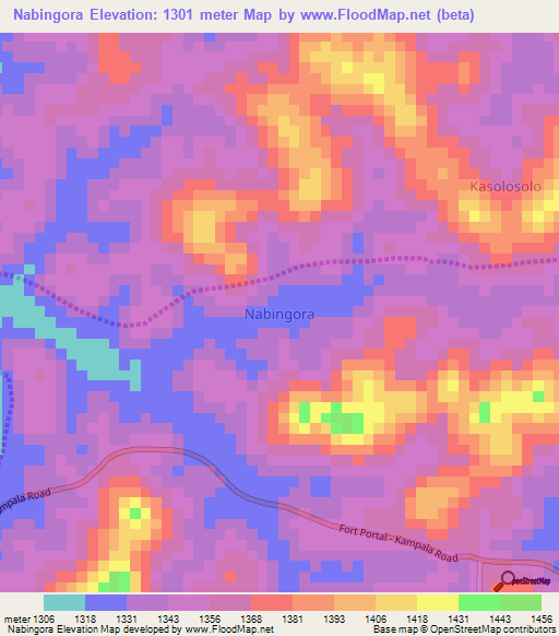 Nabingora,Uganda Elevation Map