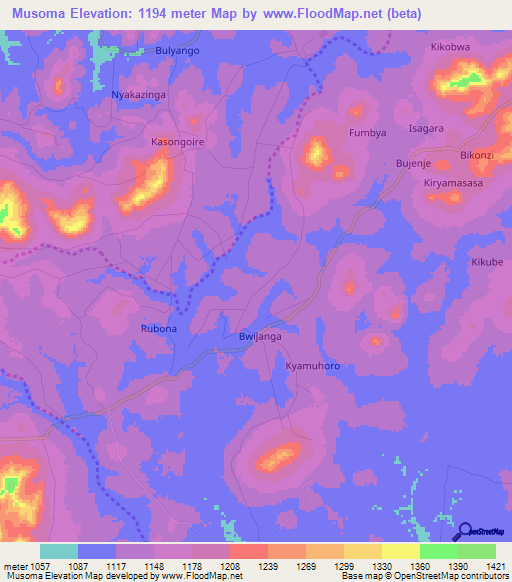 Musoma,Uganda Elevation Map