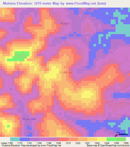 Mulema,Uganda Elevation Map
