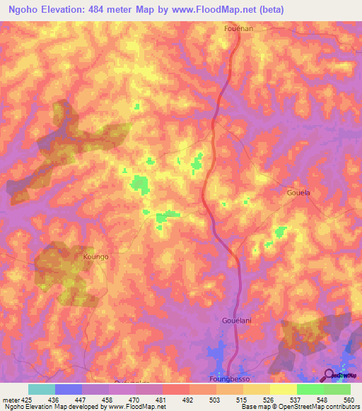 Ngoho,Ivory Coast Elevation Map