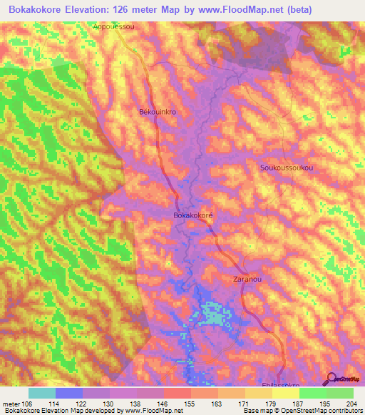 Bokakokore,Ivory Coast Elevation Map