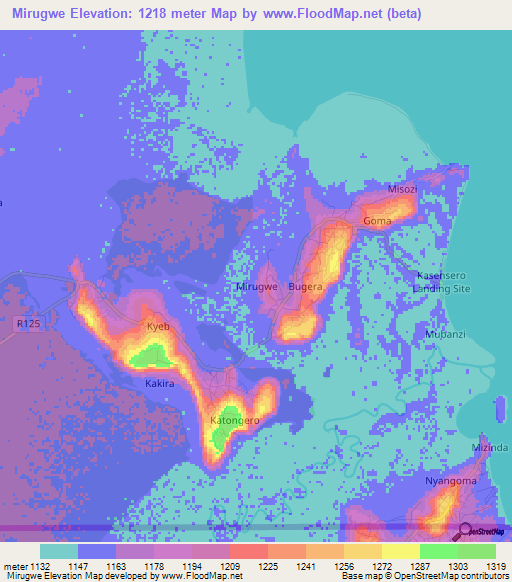 Mirugwe,Uganda Elevation Map