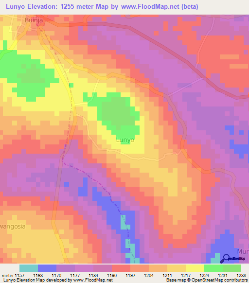 Lunyo,Uganda Elevation Map