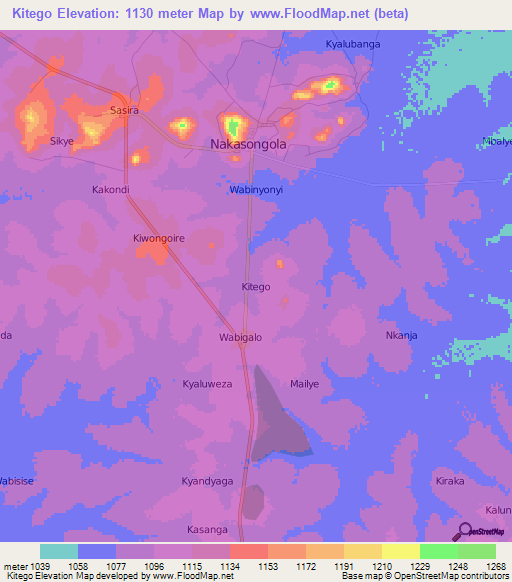 Kitego,Uganda Elevation Map