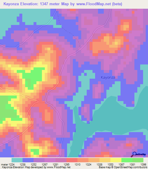 Kayonza,Uganda Elevation Map