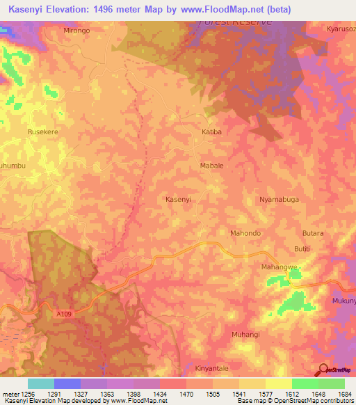 Kasenyi,Uganda Elevation Map