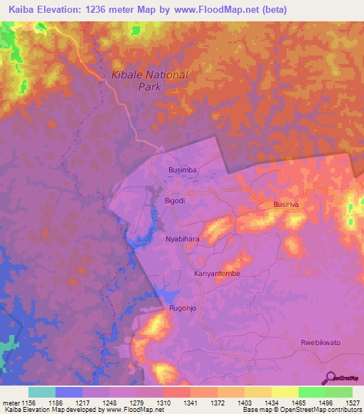 Kaiba,Uganda Elevation Map