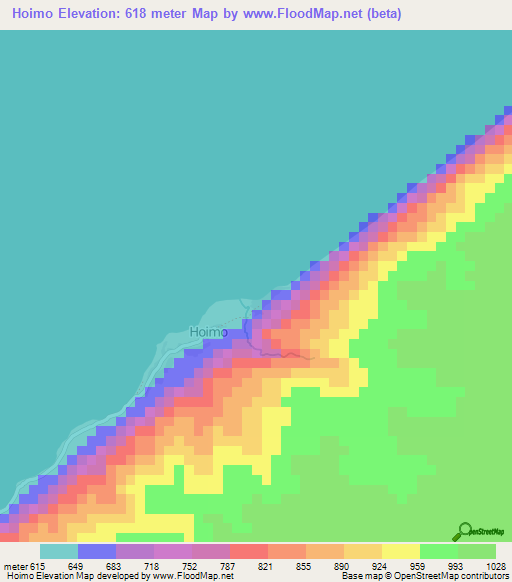 Hoimo,Uganda Elevation Map