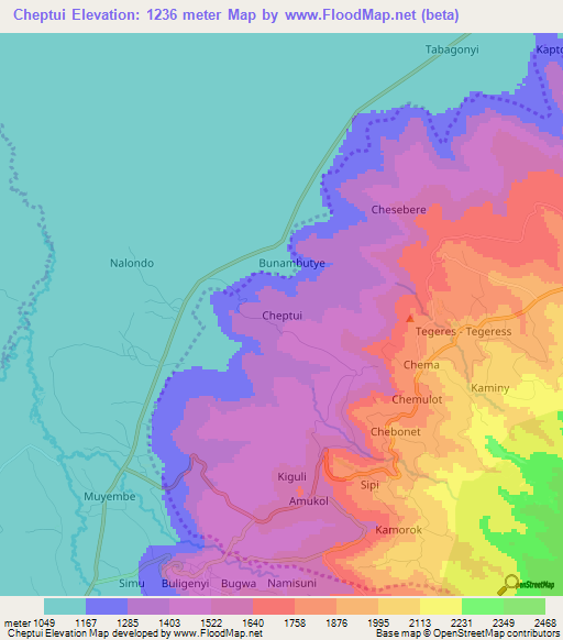 Cheptui,Uganda Elevation Map