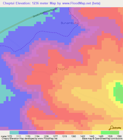 Cheptui,Uganda Elevation Map