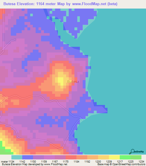 Butesa,Uganda Elevation Map