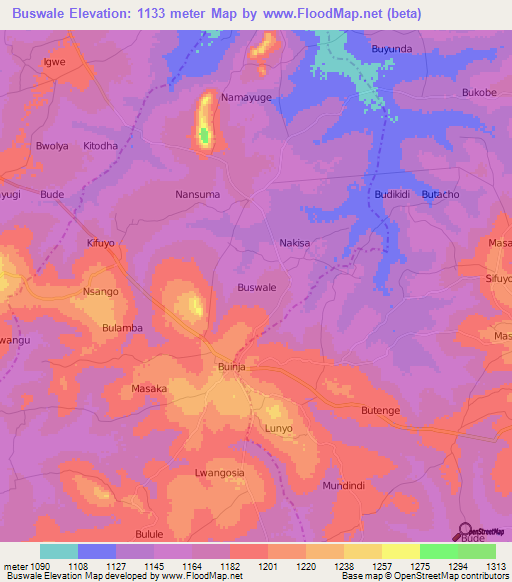 Buswale,Uganda Elevation Map