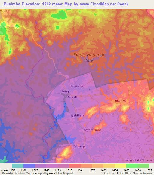 Busimba,Uganda Elevation Map