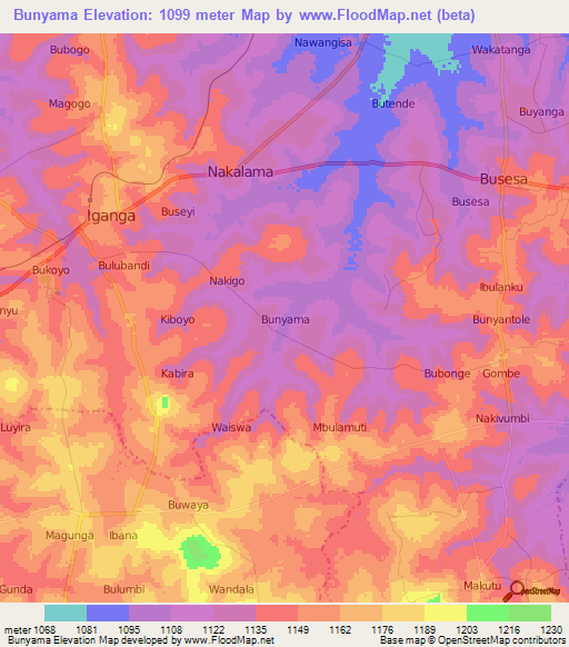 Bunyama,Uganda Elevation Map