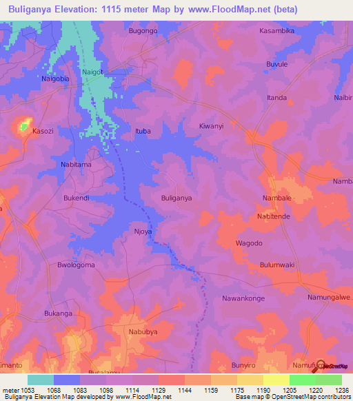 Buliganya,Uganda Elevation Map