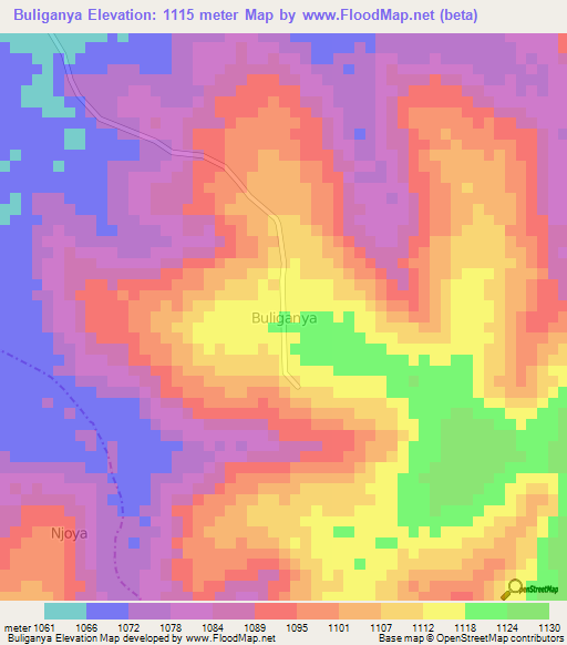 Buliganya,Uganda Elevation Map