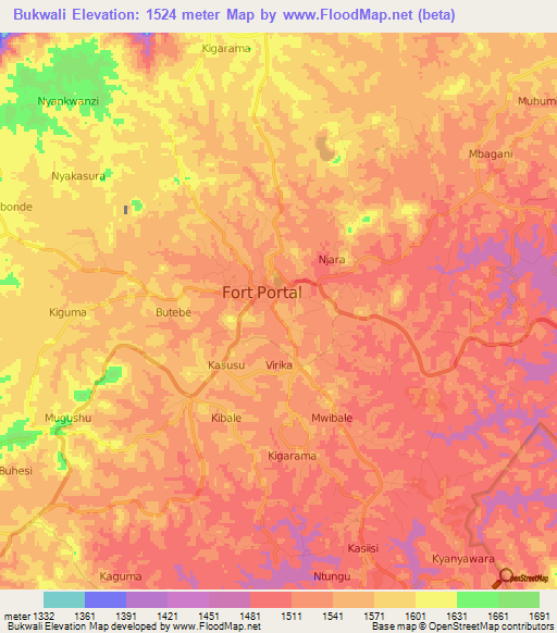 Bukwali,Uganda Elevation Map