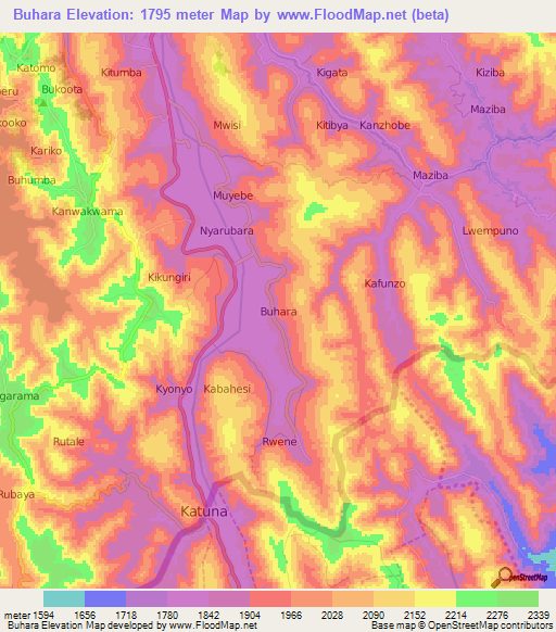 Buhara,Uganda Elevation Map