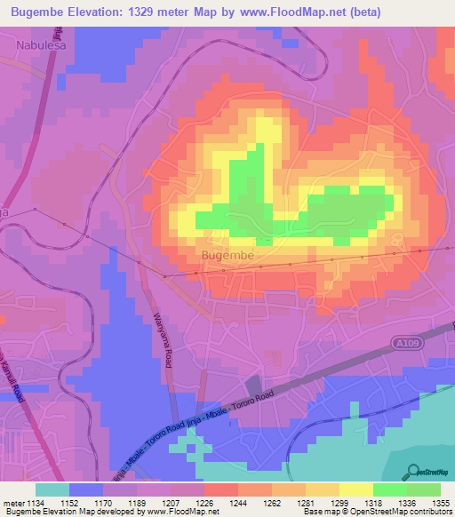 Bugembe,Uganda Elevation Map