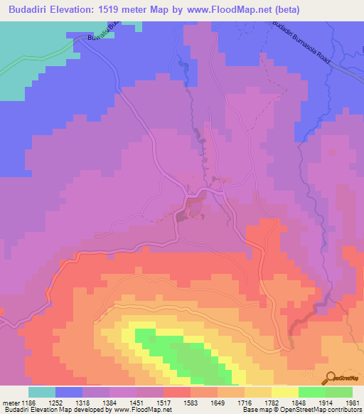 Budadiri,Uganda Elevation Map