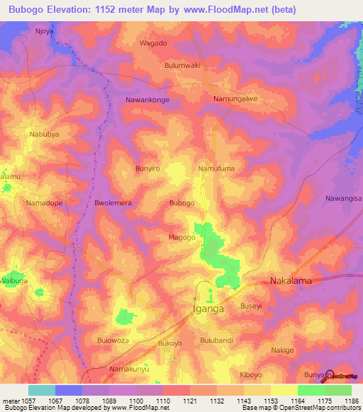 Bubogo,Uganda Elevation Map