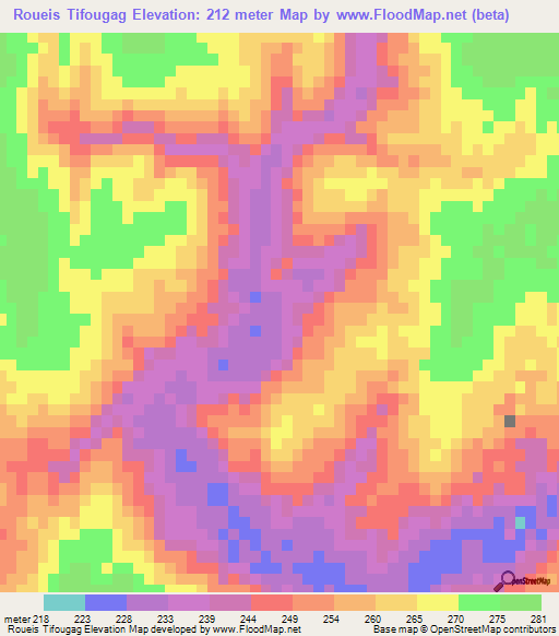 Roueis Tifougag,Mauritania Elevation Map