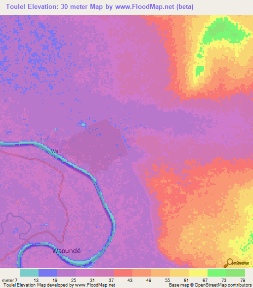 Toulel,Mauritania Elevation Map