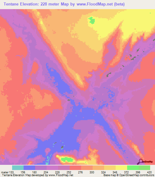 Tentane,Mauritania Elevation Map
