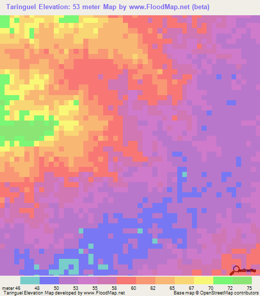 Taringuel,Mauritania Elevation Map