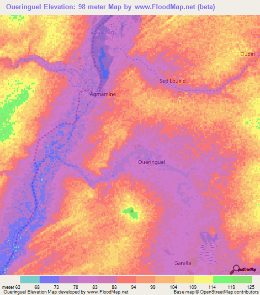 Oueringuel,Mauritania Elevation Map