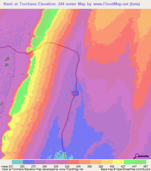 Kseir et Torchane,Mauritania Elevation Map