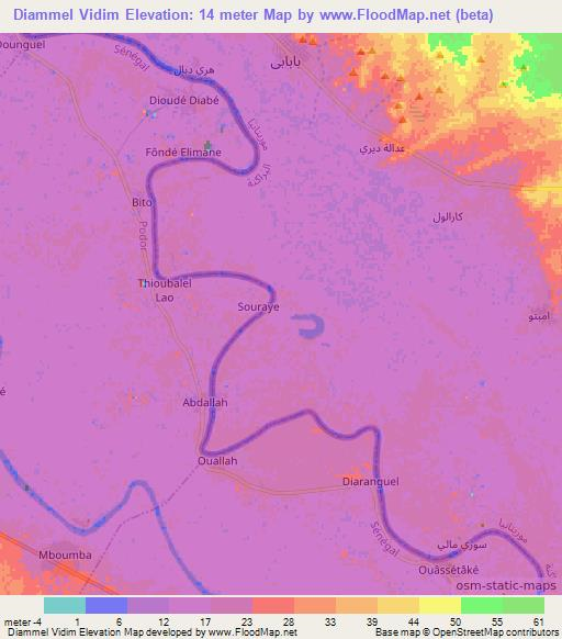 Diammel Vidim,Mauritania Elevation Map