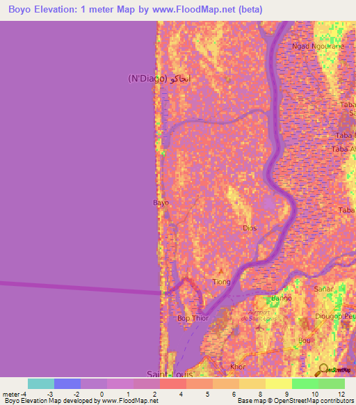 Boyo,Mauritania Elevation Map