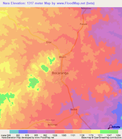 Nara,Central African Republic Elevation Map