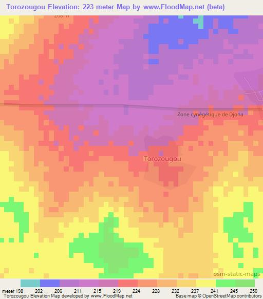 Torozougou,Benin Elevation Map