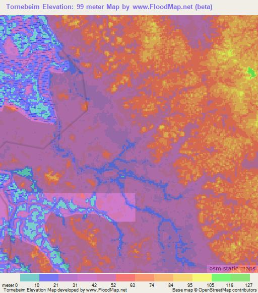 Tornebeim,Gabon Elevation Map