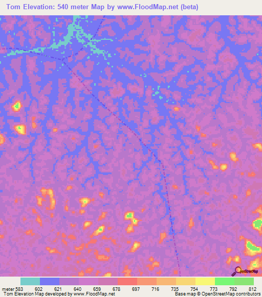 Tom,Gabon Elevation Map