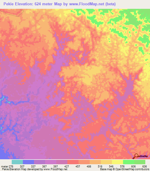 Pekie,Gabon Elevation Map